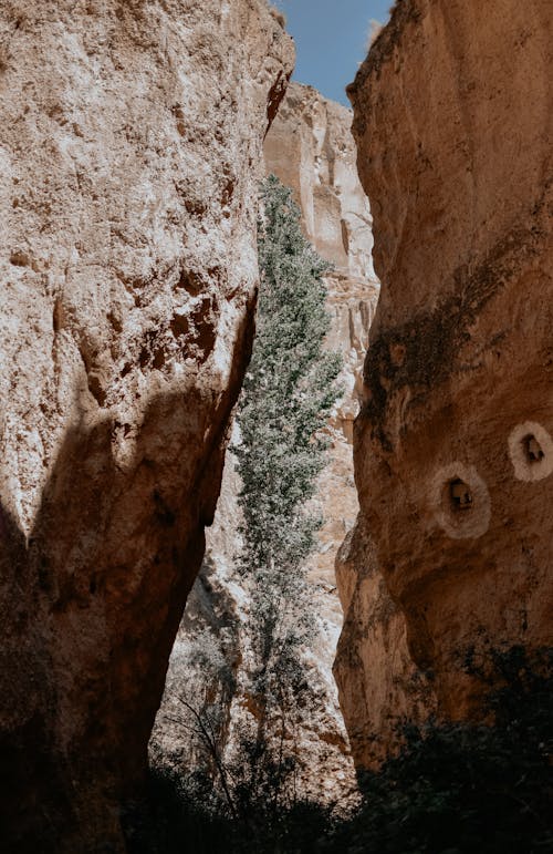 Gratis lagerfoto af geologi, grotte, klippe