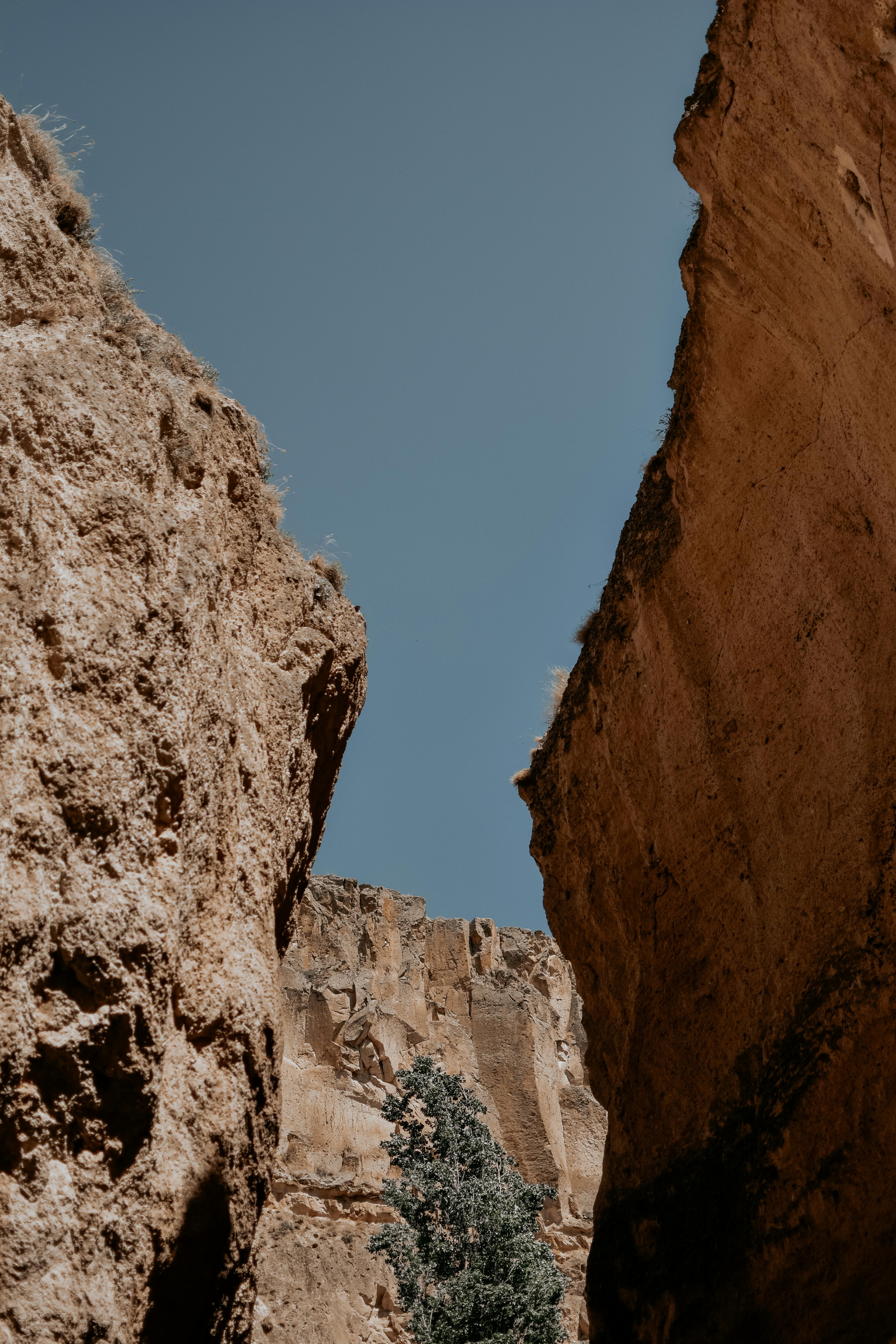 Cooking Show Live thumbnail