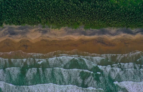 Fotobanka s bezplatnými fotkami na tému breh, kývať, letecké snímkovanie