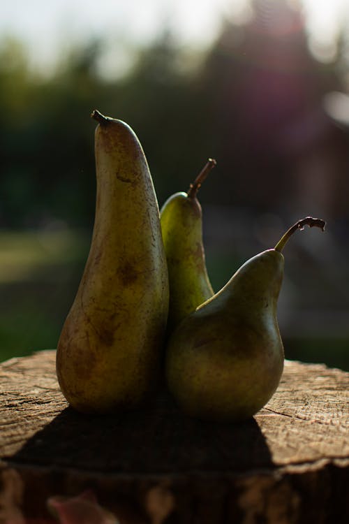 Free Pears on a Tree Stump Stock Photo