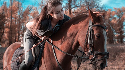Free Woman Riding a Brown Horse Stock Photo