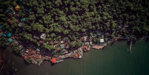 Gratis stockfoto met bomen, daken, dronefoto