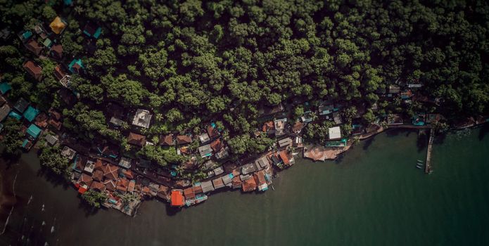 Drone Shot of Trees and Houses Near a River