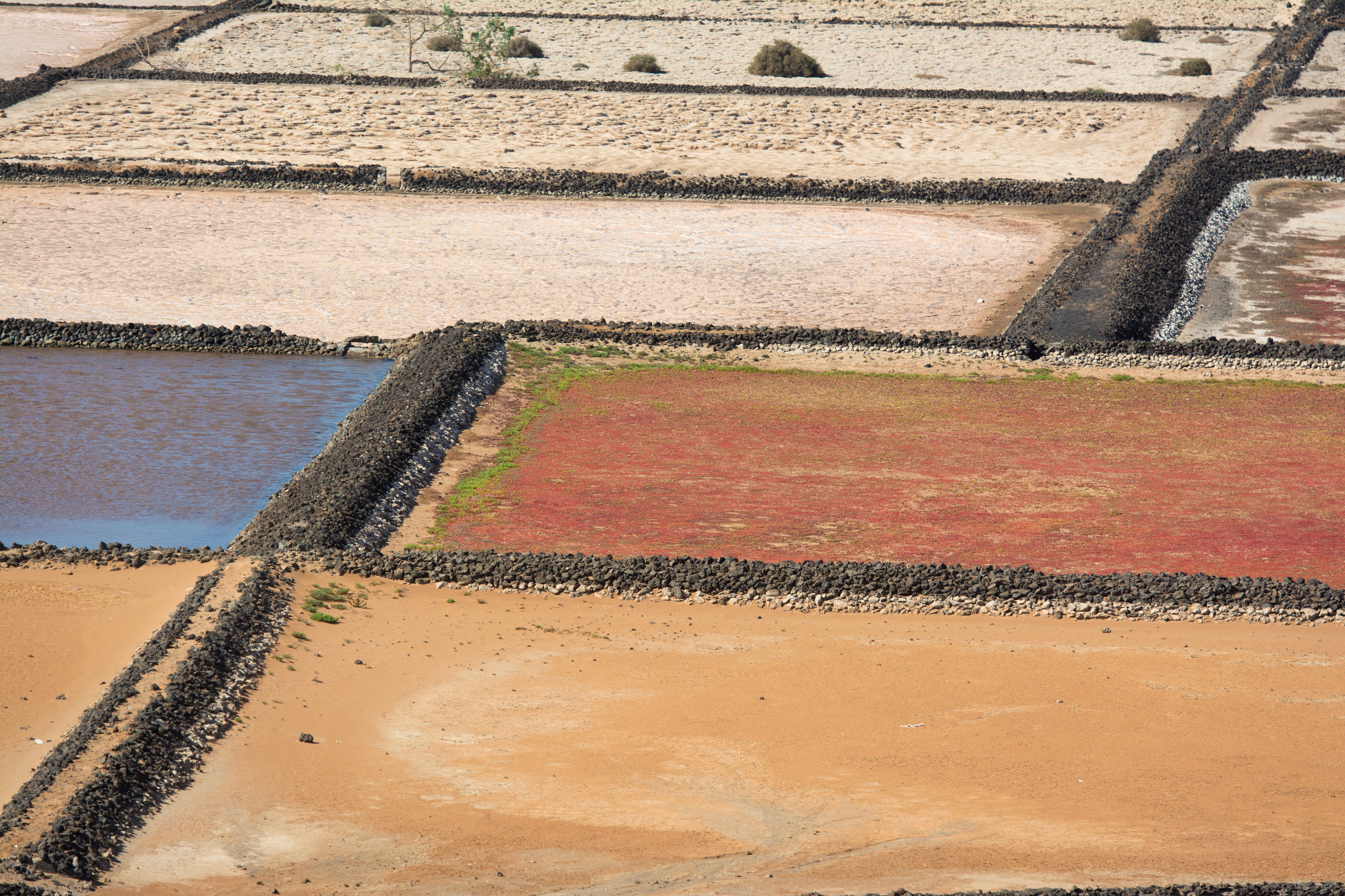 Aerial view of vibrant geometric salt pans with natural textures and colors.