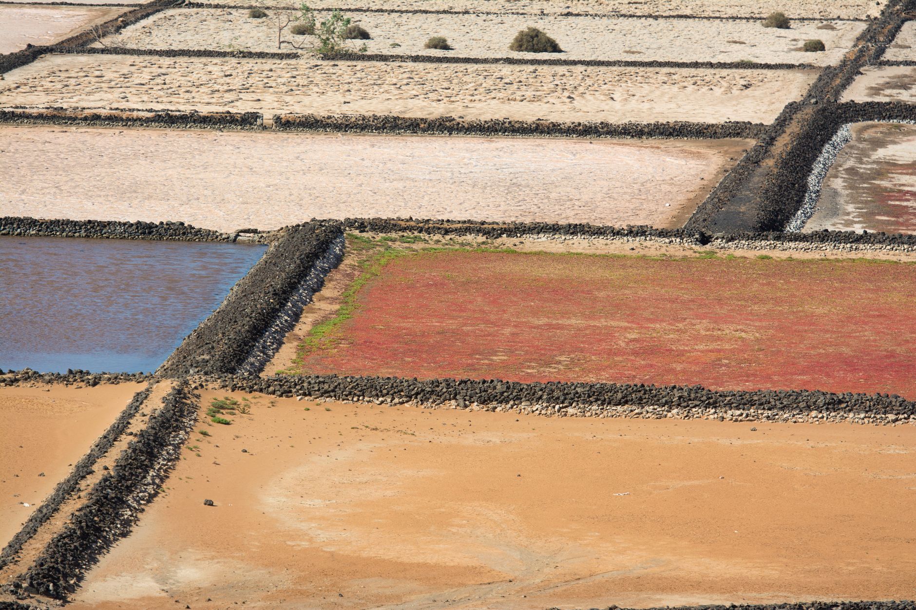 Aerial view of vibrant geometric salt pans with natural textures and colors.