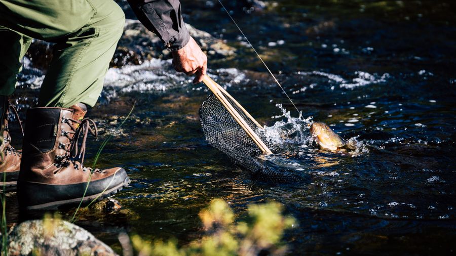 How to Choose the Right Fishing Reel