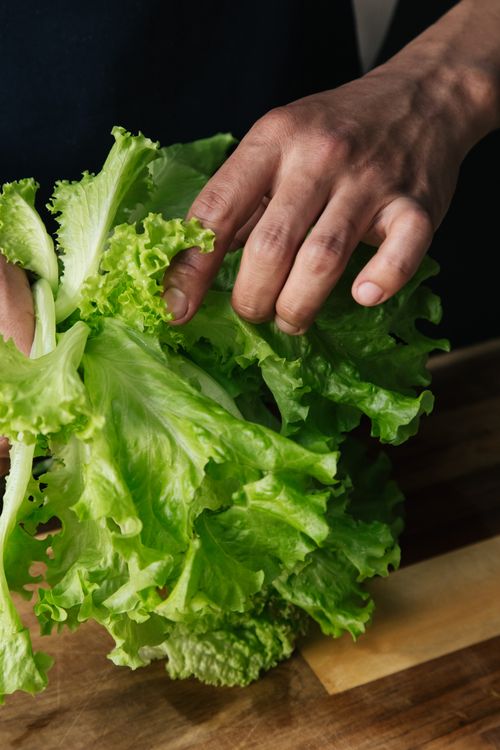 Free Vibrant close-up of hands holding fresh green lettuce leaves on a cutting board. Stock Photo
