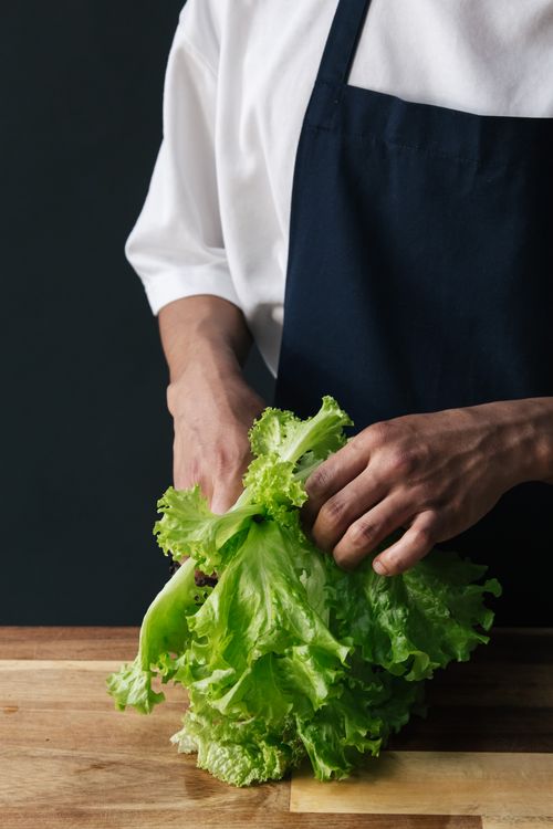 Free Close-up of a chef's hands handling fresh lettuce on a kitchen counter. Stock Photo