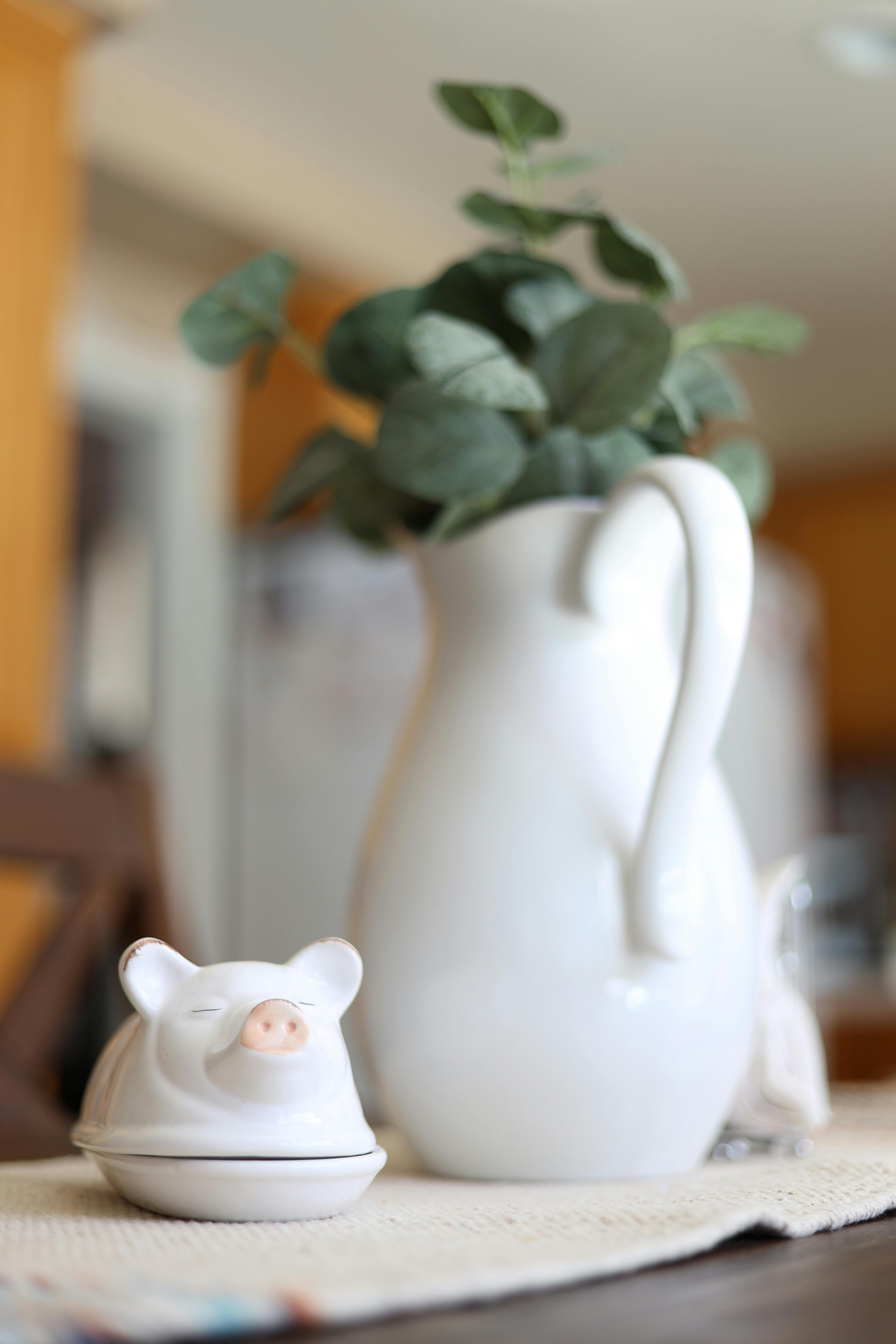 white ceramic vase with green plant beside the pig figurine