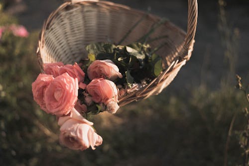 Pink Roses in Brown Woven Basket