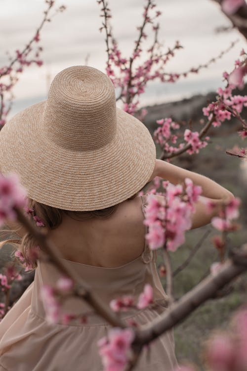 Free Back View Shot of a Woman Wearing Straw Hat on a Flower Field Stock Photo