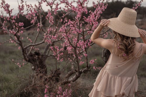 Back View of Woman in a Dress and Hat Standing Next to a Cherry Blossom Tree