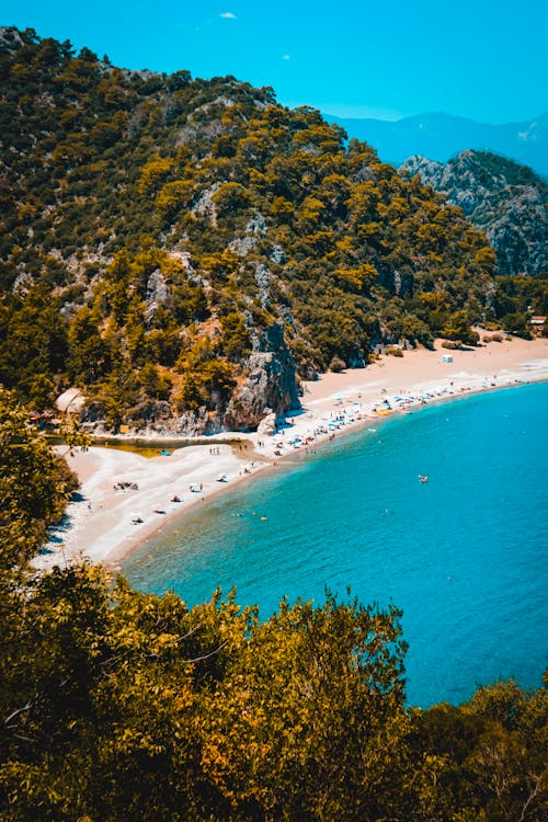 Immagine gratuita di acqua, alberi, antalya