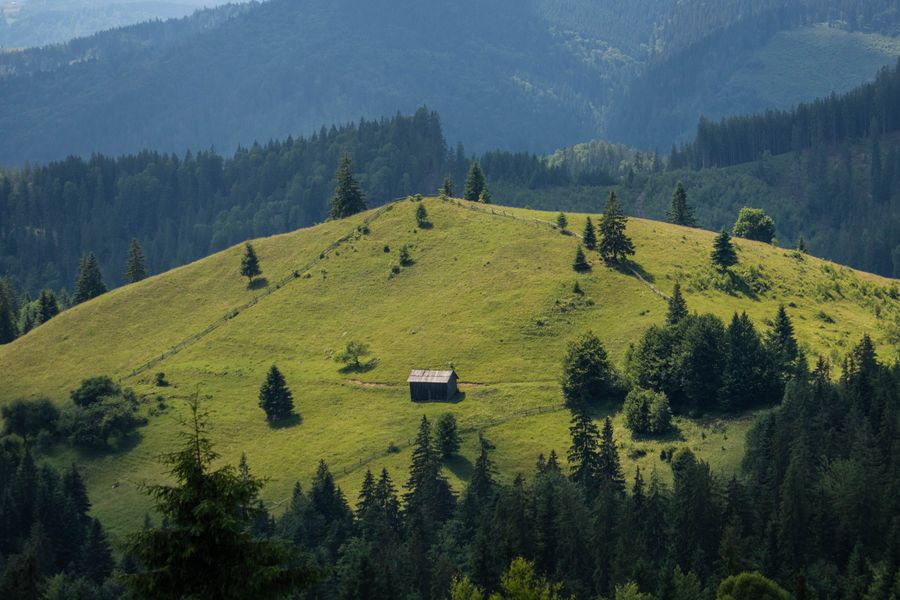 A lone timber cabin on a green hillside — Nichitean Dumitrita Veronica on Pexels