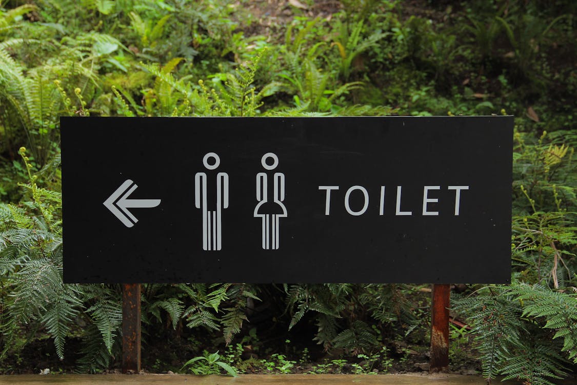 Free Toilet Signage Beside Green Leaf Stock Photo