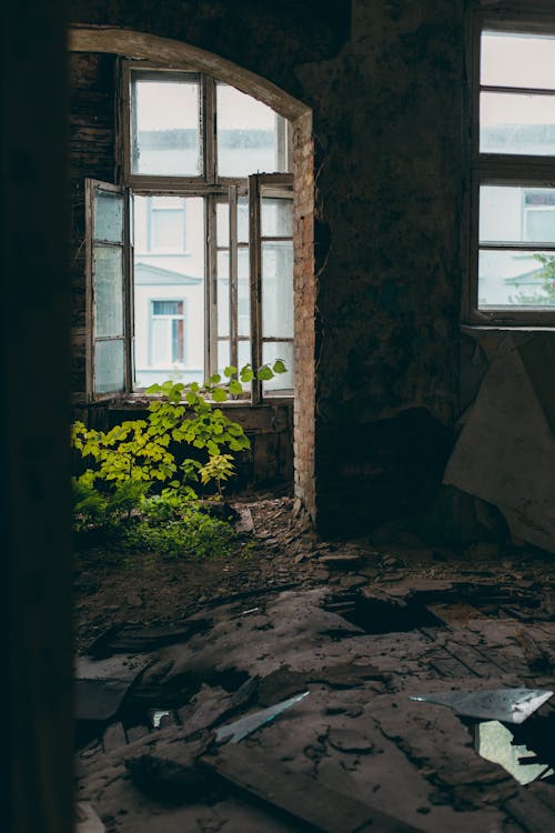 bozulan, eski püskü, ev içeren Ücretsiz stok fotoğraf