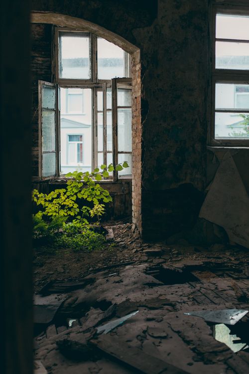 Free Interior of an abandoned house with open window, decaying walls, and growing greenery. Stock Photo