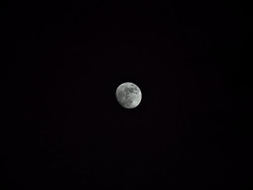 무료 보름달 사진 스톡 사진