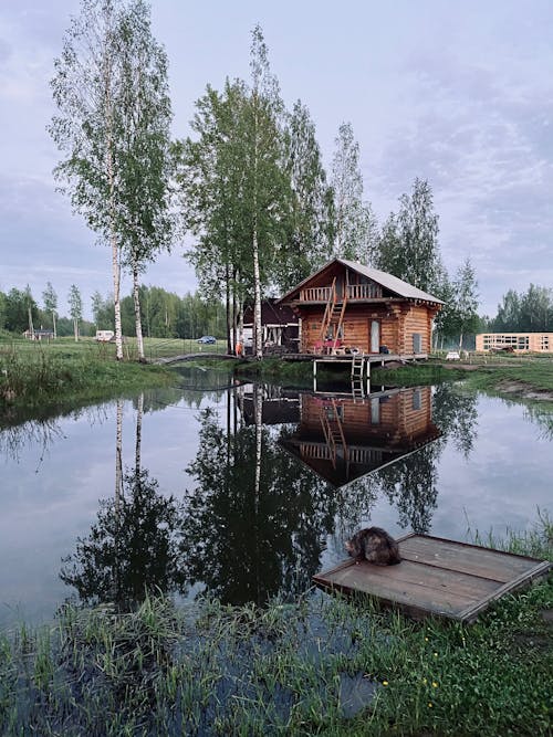 Brown Wooden House Near Pond Surrounded with Green Trees