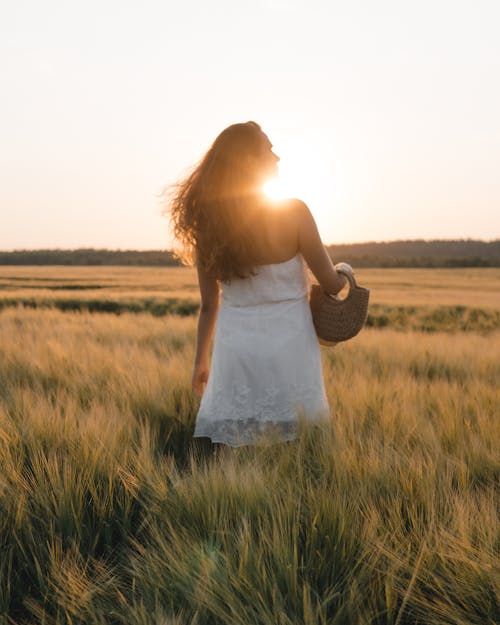 Back View of a Woman in a Grass Field During Sunset