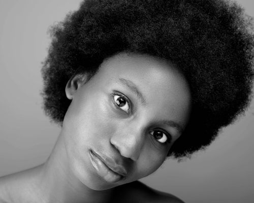 Free Elegant black and white portrait of an African woman with an afro hairstyle. Stock Photo
