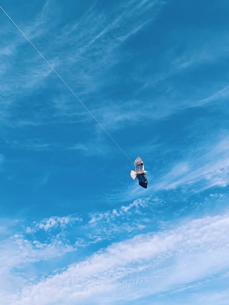 Bird Shape Kite Flying Under Blue Sky