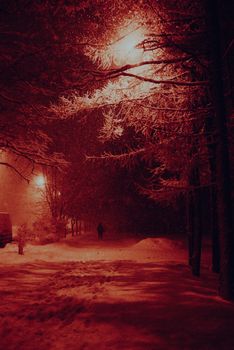A person walks through a snow-covered park at night, illuminated by streetlights, creating a serene winter scene.