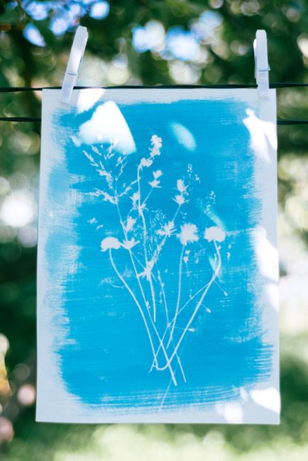 Artistic cyanotype print of wildflowers hanging outdoors on a line.