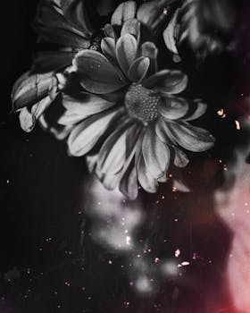 黑白花朵优雅复古，定格永恒之美