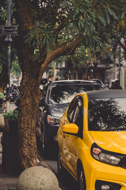 Free Vertical shot of parked cars under trees on a city street, capturing urban life essence. Stock Photo