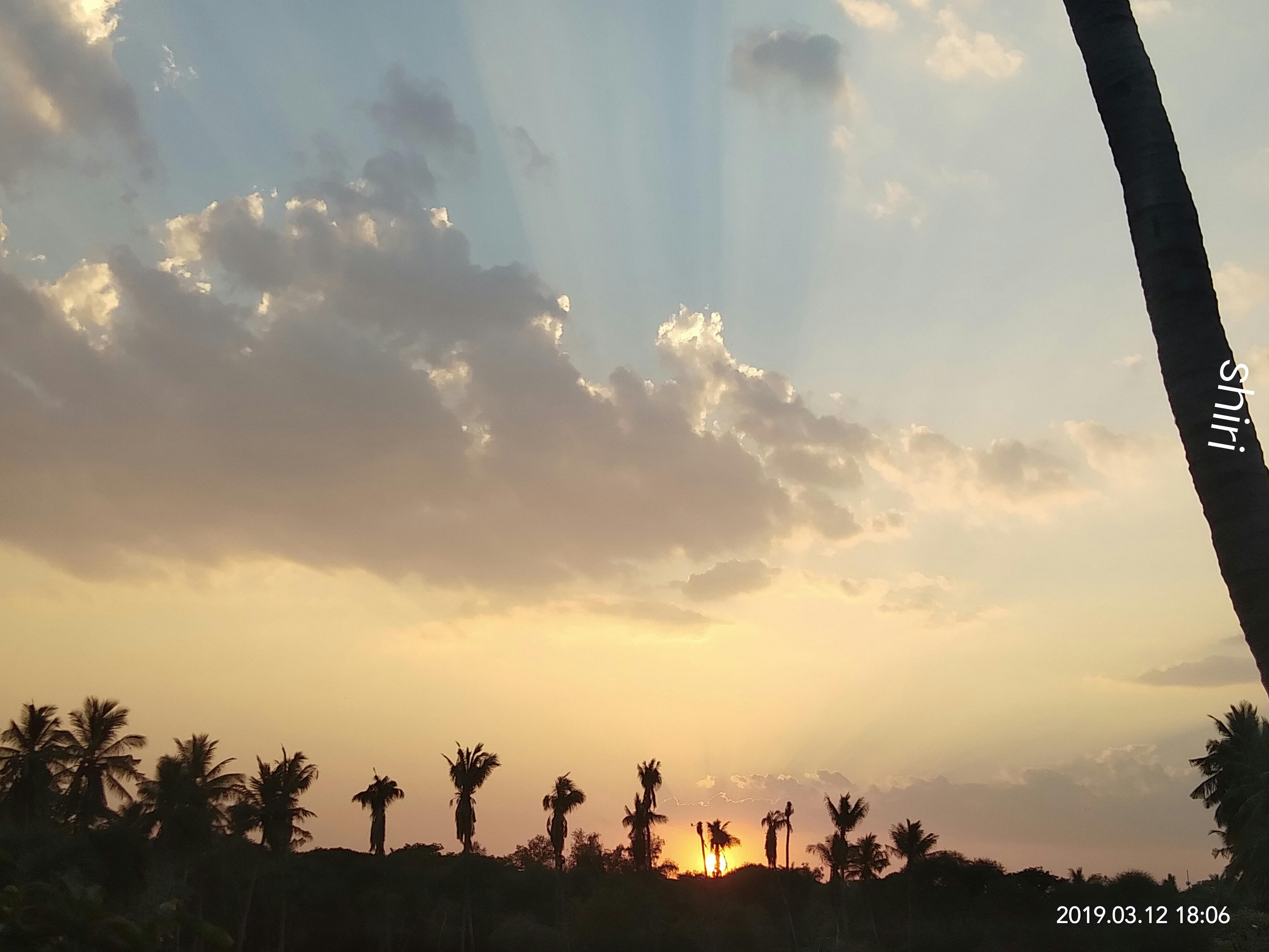Mushrooms being sautéed in a skillet with a wooden spoon