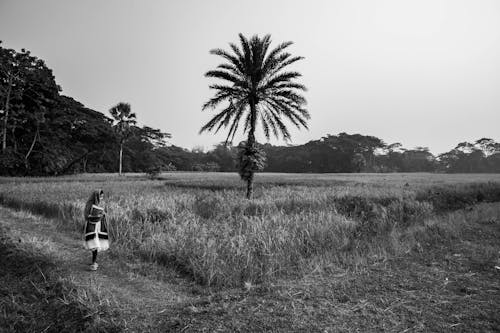 Free Grayscale Photo of a Woman Walking Near a Palm Tree Stock Photo