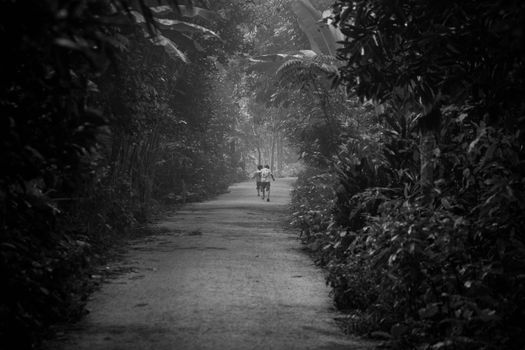 A child walking down a foggy forest pathway in black and white.