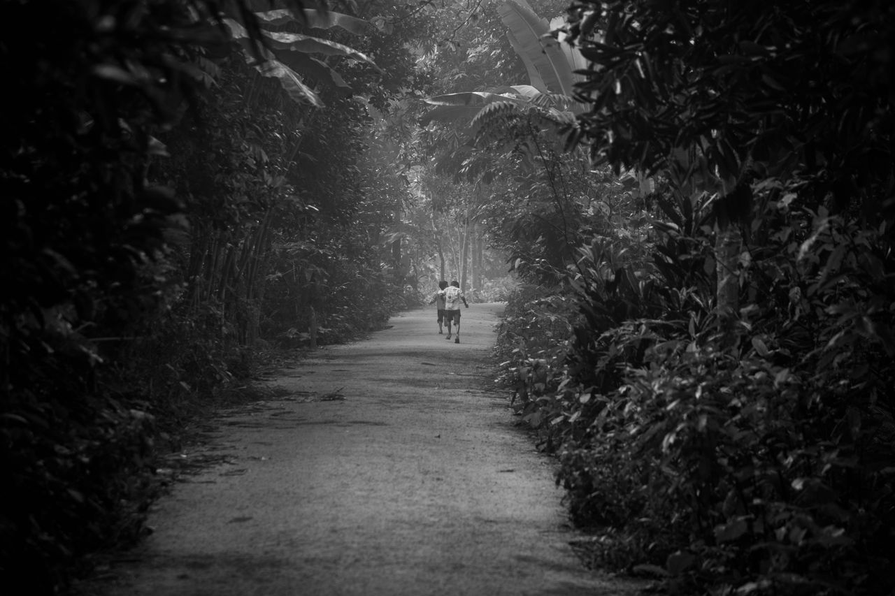 a child walking down a foggy forest pathway in black and white