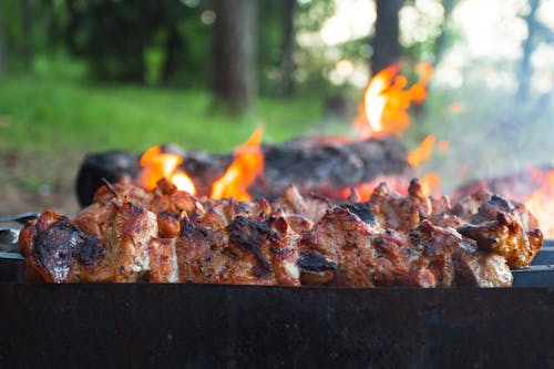 Cooking Pork in a Grill