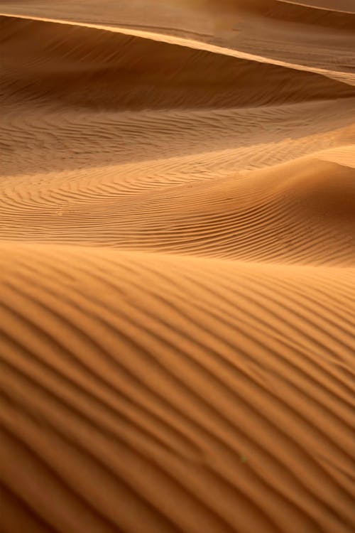 View of Rippled Sand Dunes