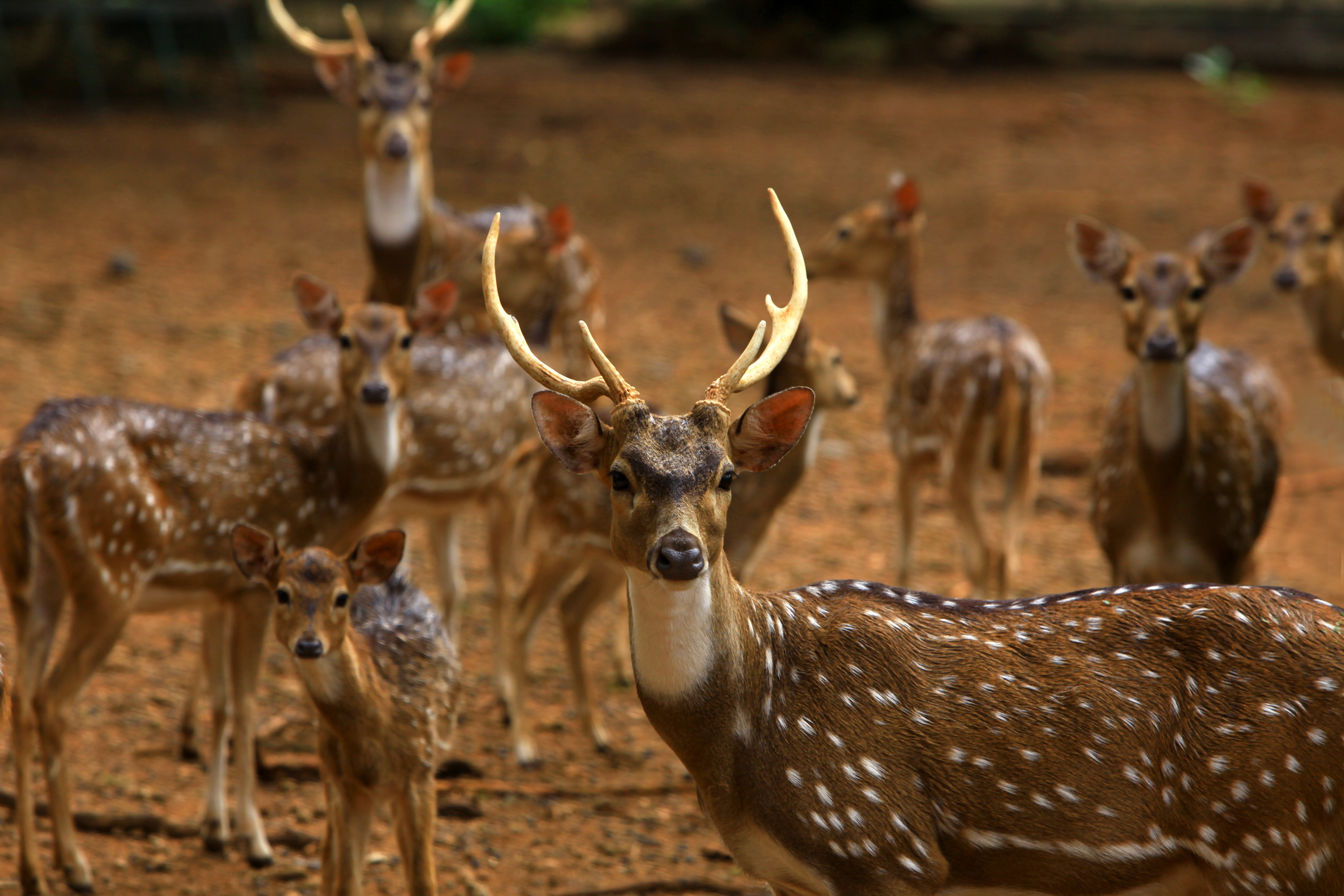 Foto: Jeffry Surianto / Pexels