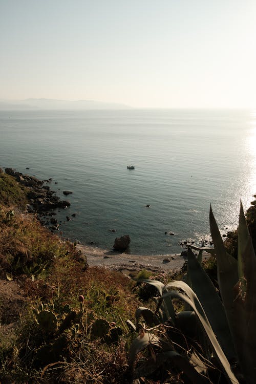 Clear Sky over Sea Shore