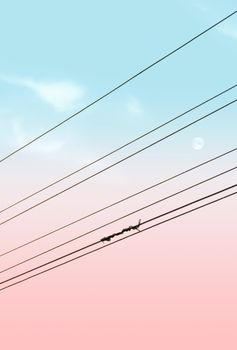 Elegant power lines against a pastel sky during dusk in Pune, India.