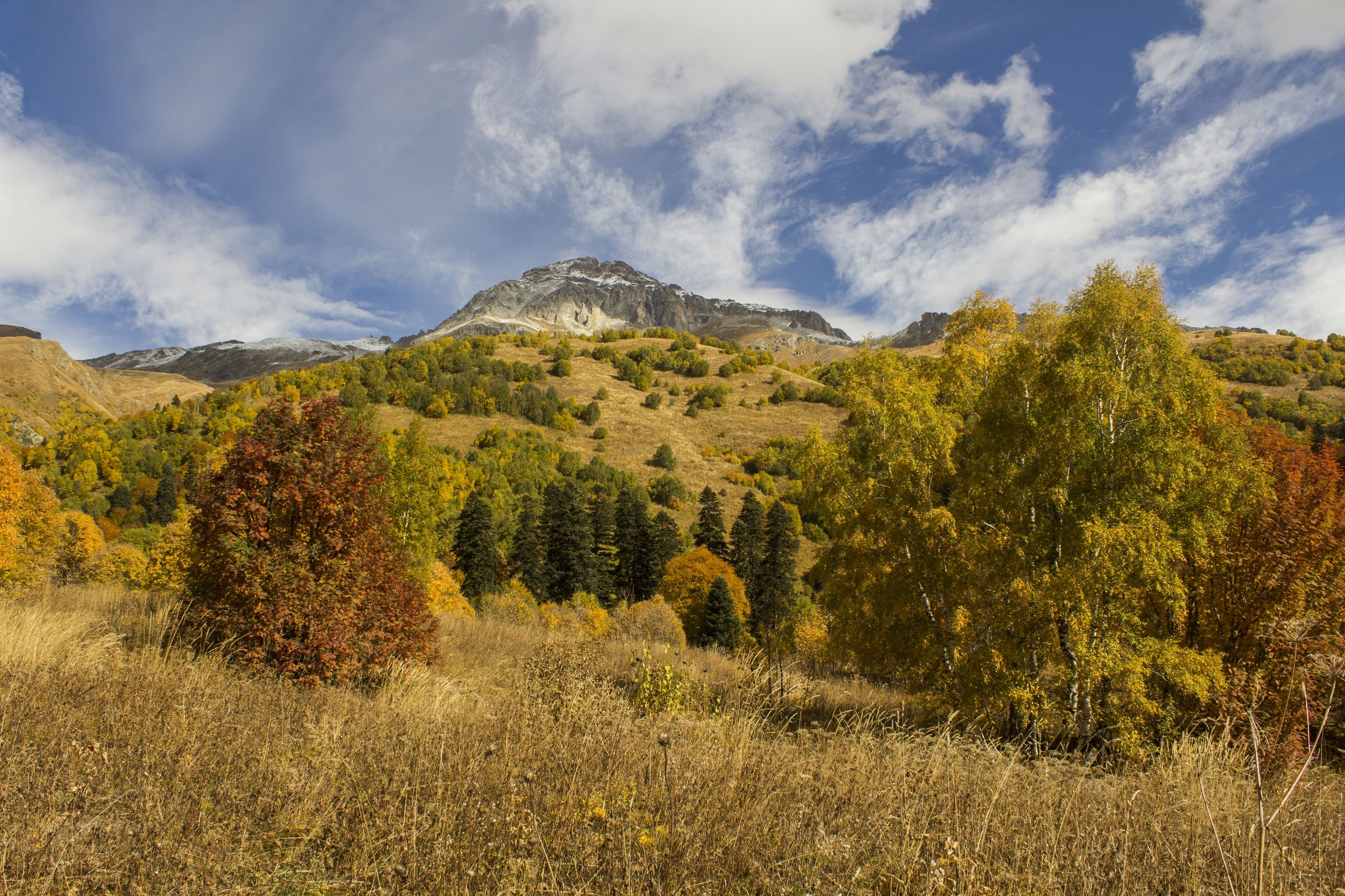Stunning autumn scenery with colorful foliage and mountain view under a blue sky.