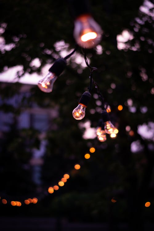 String of Lights on Tree During Night Time