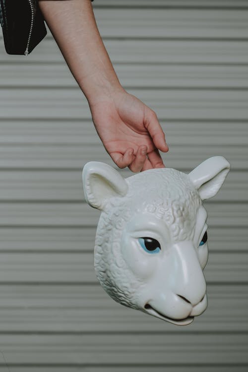Darmowe zdjęcie z galerii z kostium, osoba, owca