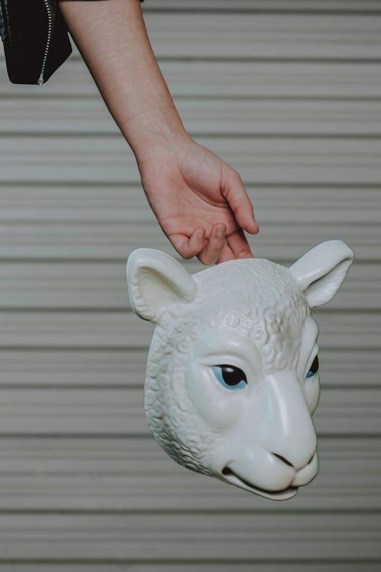 Person Hand Holding Sheep Face Mask