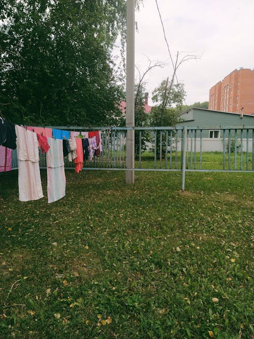 Foto d'estoc gratuïta de arbres, bugaderia, ciutat