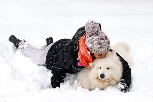Person Lying on Snow with a Dog