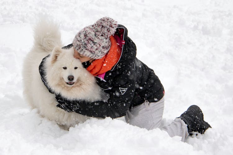 Person Hugging A Dog On Snow Covered Ground