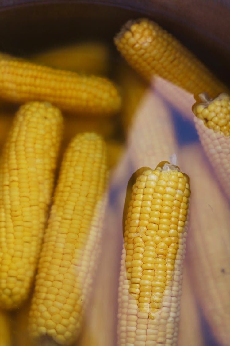 Close-up Of Corncobs Boiling In Water