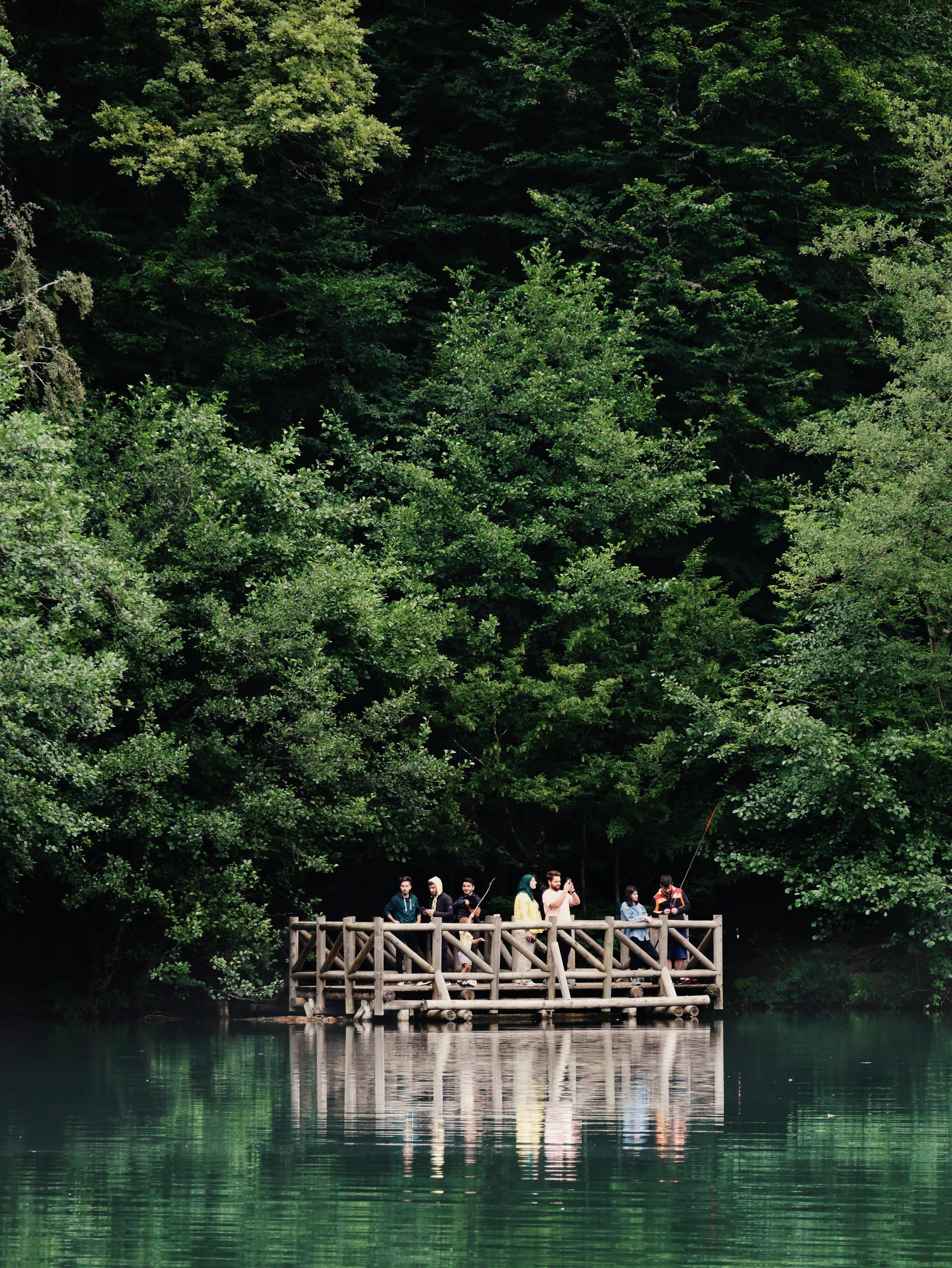 Serene scene with people enjoying a picturesque forest lake view from a wooden deck.