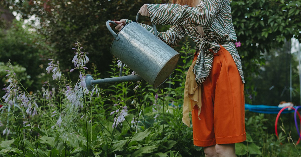 How to get rid of fire ants in garden without killing plants
