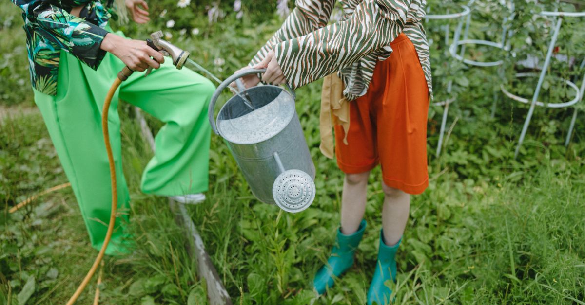 Guide Complet pour Cultiver des Légumes Exotiques